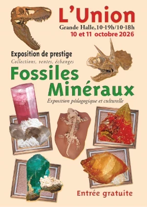 Affiche 24e Salon des Minéraux et Fossiles de L'Union (31)