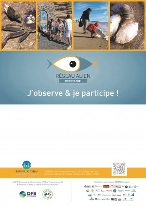 Affiche Sur les traces des globe-trotteurs du bord de mer
