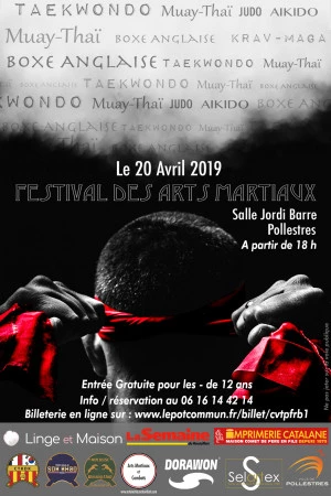 Affiche Festival des Arts Martiaux
