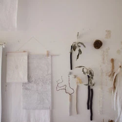 Véronique GRANDJACQUES - Véronique Grandjacques 