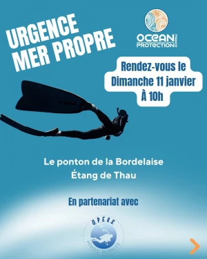 Affiche Opération Mer Propre du dimanche 11 janvier