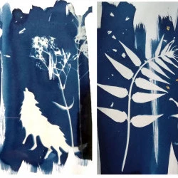le loup chante à la lune - le chat - cyanotypes - Michèle Stachak-Soulacroix 
