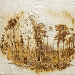Amazonia - Dessiner après la fin du monde - textile brûlée à la loupe, broderie au fil de soie 42x55cm - Emmanuelle Mason 