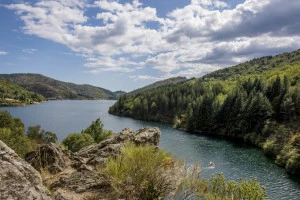 Affiche Secrets de béal