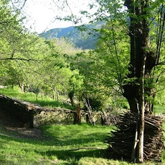 Affiche Balade cueillette et atelier cuisine