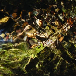 Les eaux lentes - Photographie 40/50 cm tirage Picto - S. Vigneau 