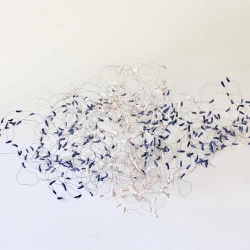 Véronique GRANDJACQUES - Véronique Grandjacques 