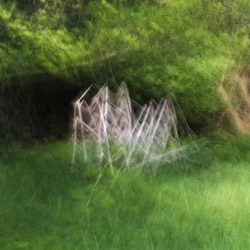 Automne 2 - Philippe Cadu 