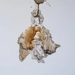 Feminité des bois - encre et brou de noix sur papier photo marouflé sur panneau bois /60x115/ 2022