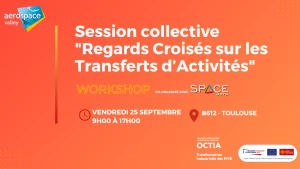 Affiche Regards Croisés sur les Transferts d'Activités