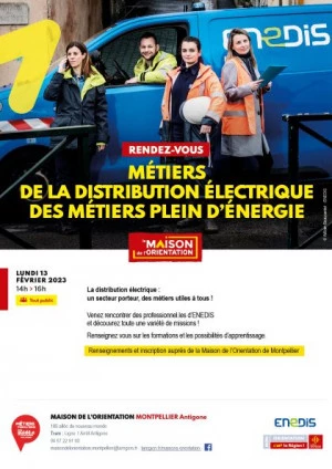 Affiche Distribution électrique : des métiers plein d'énergie