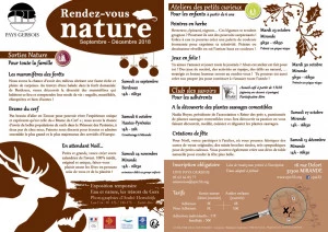 Affiche Club des savoirs - A la découverte des plantes sauvages comestibles