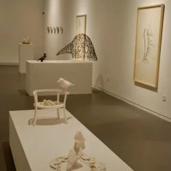 Métamorphoses, dialogue avec Paul Dardé, Musée de Lodève 2023 - pièces céramiques, grès, porcelaine et dessins de branches - violaine Laveaux 