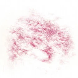 Lignes d'erres 2025 - 61cm x 76ht - Stylo sur papier Fabriano 600gr