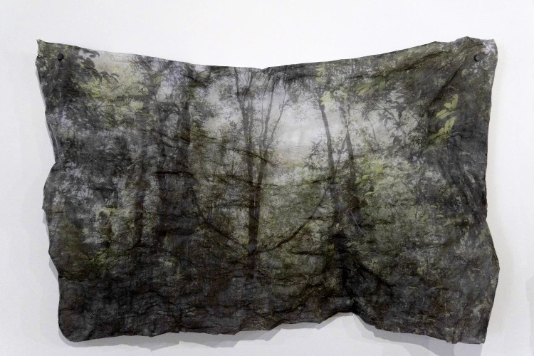 Suaires de forêt - Extraction de l'impression numérique, 90x135 cm - Éléna Salah 
