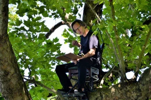 Affiche Le Baron perché d'Italo Calvino par la Cie La voie des livres