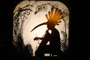 Affiche Spectacle Volatile Ombré par la Compagnie la Rotule