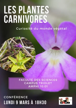 Affiche Conférence - Les Plantes Carnivores : curiosité du monde végétal