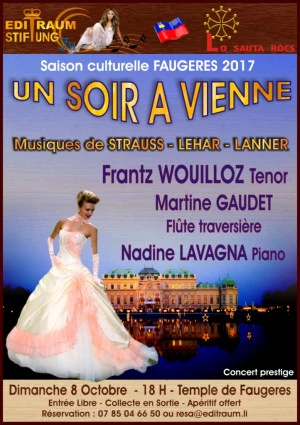 Affiche Un soir à Vienne - Concert Prestige