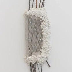 Faisceau radiant - 2022, grille, béton, ronces, chrome, 96 x 28 x 8 cm - Photographie de Nassimo Berthommé 