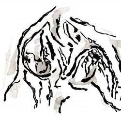 Série Sh.t, 3 - Encres sur papier - Dominique Ribes 