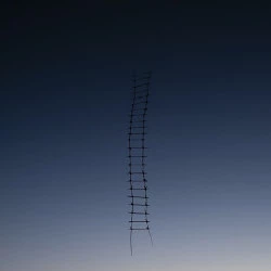 Lignes - Land art, photographie numérique, La Dombes, 2021 - Giulia Zanvit 