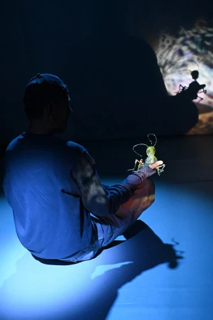 Affiche MINIMUS Cie le bruit des ombres