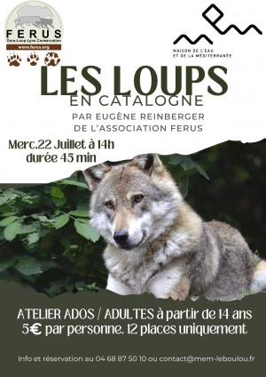 Affiche Atelier les loups en Catalogne