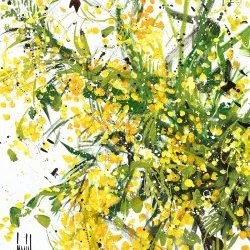 Mimosa - acrylique sur toile 100x81cm année 2023 - David Jamin 