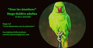 Affiche Oser les émotions-Stage théâtre adultes