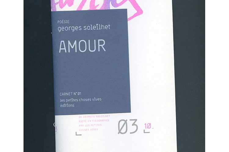 Amour - Carnet Amour, 1re de couverture - David Soleilhet 