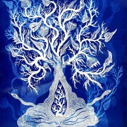 "SEMPERVIRENTE" - Dessin imprimé en cyanotype // Dimension : 76 x 56cm // Année 2021 - Ayda-Su Nuroglu 