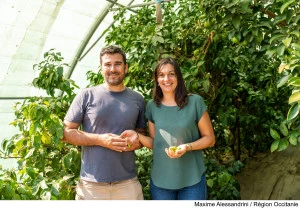 Un nouvel appel à projets sera lancé en 2026 pour soutenir la filière du bio en Occitanie