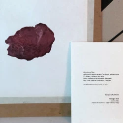 Sans titre 2025 - 41cm x 29.7ht - matière organique