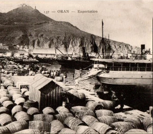 Affiche La vigne, le vin : de l'Algérie au Gaillacois par Andrée Dijou-Czerny, auteure d'ouvrages sur l'Algérie suite à ses recherches généalogiques familiales