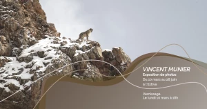 Affiche Exposition de photos - Vincent Munier "Tibet"