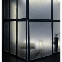 Reve de la raison - Sarah Pasquier 