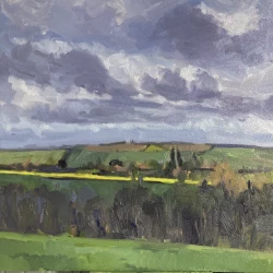 Colza à Roumieu - Huile 30 x 30 cm