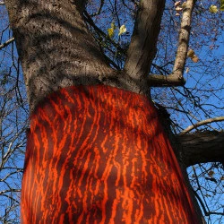 Empreinte de tronc - Acrylique sur toile, 150 x 90 cm