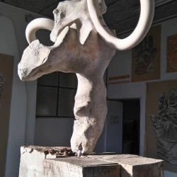 Circacéros - Circacéros — 2023 — Bois, pierre calcaire, résine polyester, poudre de marbre — 202x64x60cm - ©J-M de Sauverzac 