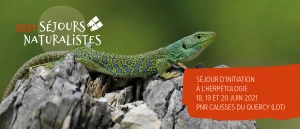 Affiche Séjour d'Initiation à l'Herpétologie