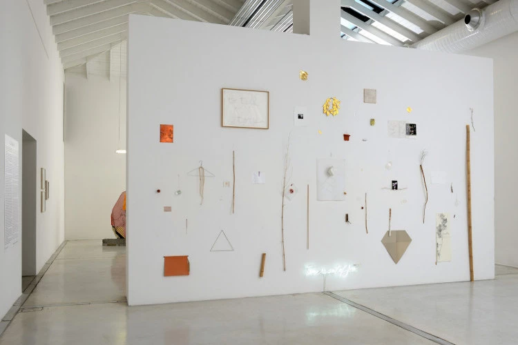 Diary Verone 2020 - Assemblage mural, 350 x 600 cm, néon, éléments naturels, verre , documents - © Michele Alberto Sereni 