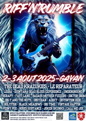 Affiche Festival Riff'N'Rumble