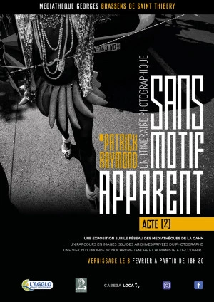 Affiche PATRICK RAYMOND " Sans motif apparent " ACTE II