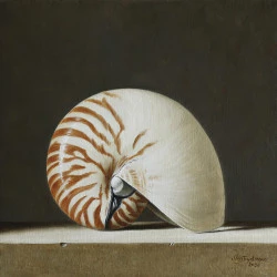 Nautilus - Huile/lin, 30/30 cm., 2026 - Stefaan Eyckmans 
