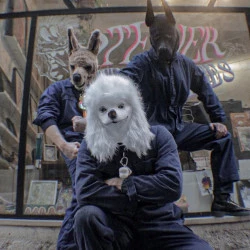 Atelier En Traits Libres