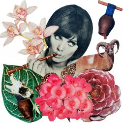 Bélier - Christel Tujague 