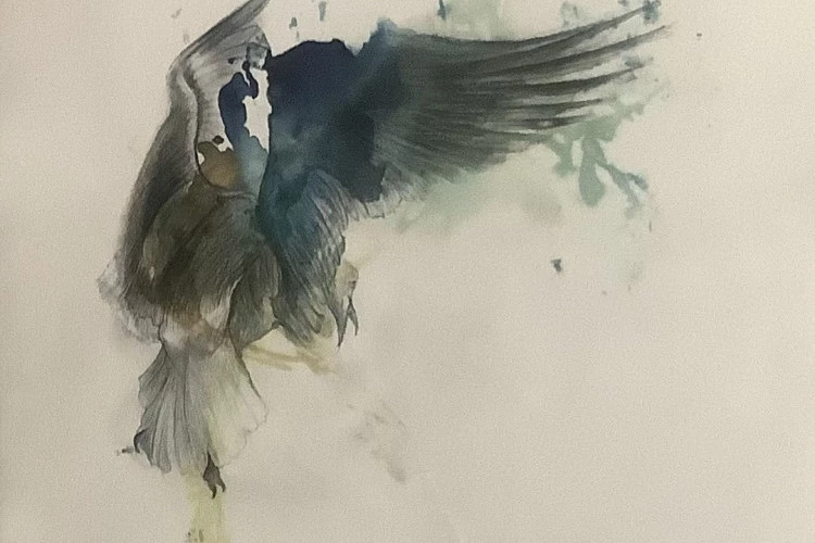 sans titre. - iris sous presse, crayon graphite et aquarelle sur papier Arches satiné.