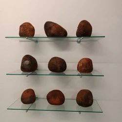 Mémoire - Terre/papier - Engobe et oxyde - Enfumage