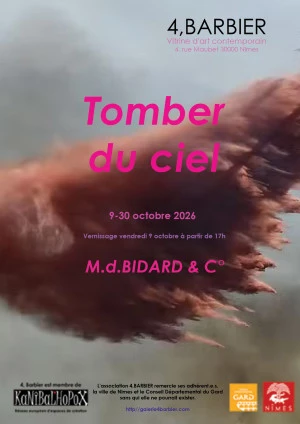 Affiche Tomber du ciel